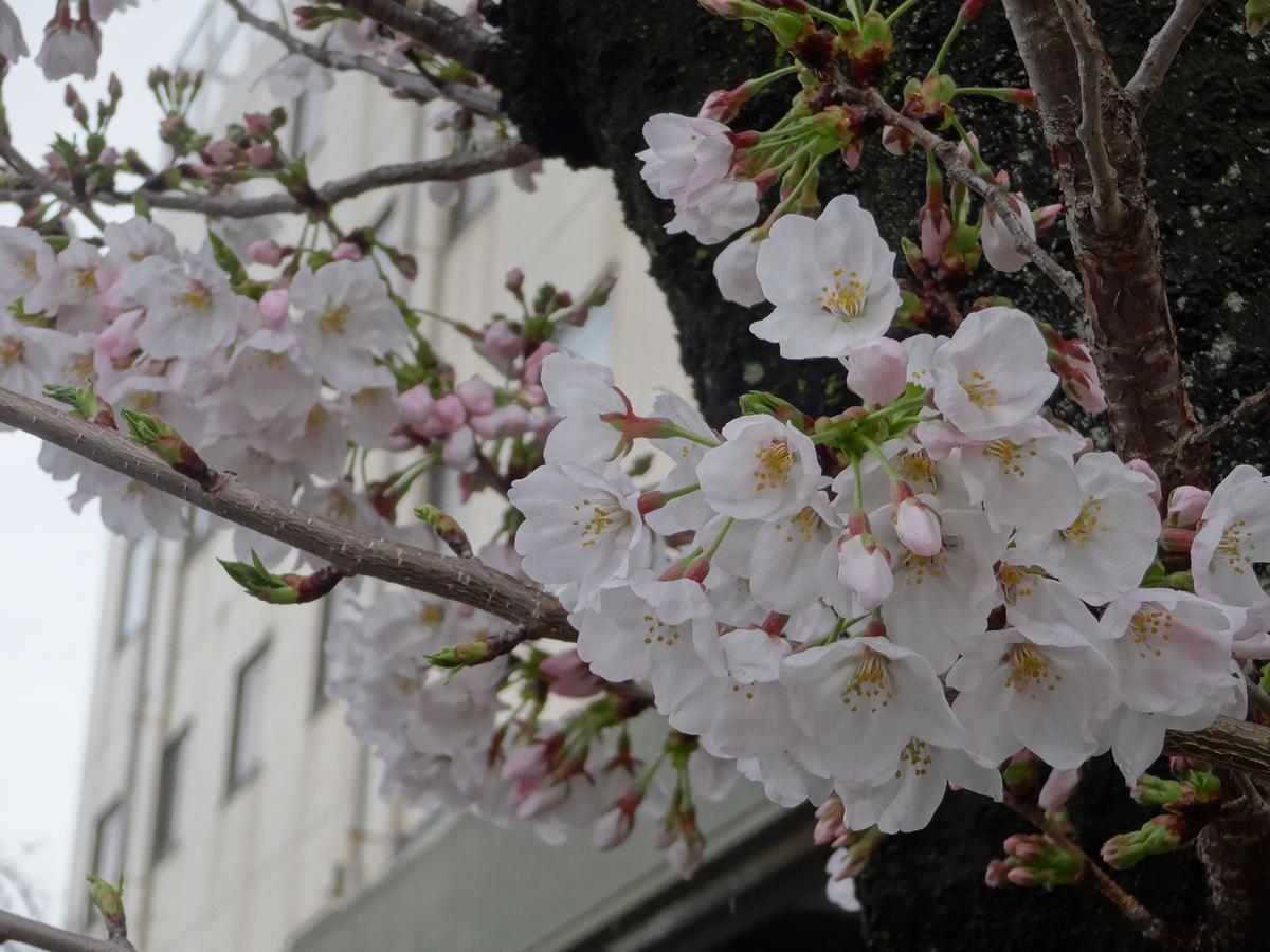 Hamakita Plaza Hotel Hamamatsu Ngoại thất bức ảnh