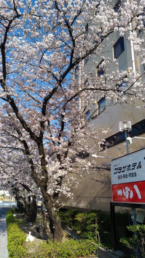 Hamakita Plaza Hotel Hamamatsu Ngoại thất bức ảnh